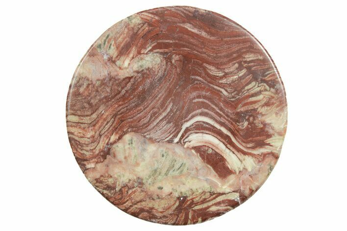 Polished Neoproterozoic Stromatolite (Conophyton) - Morocco #365850